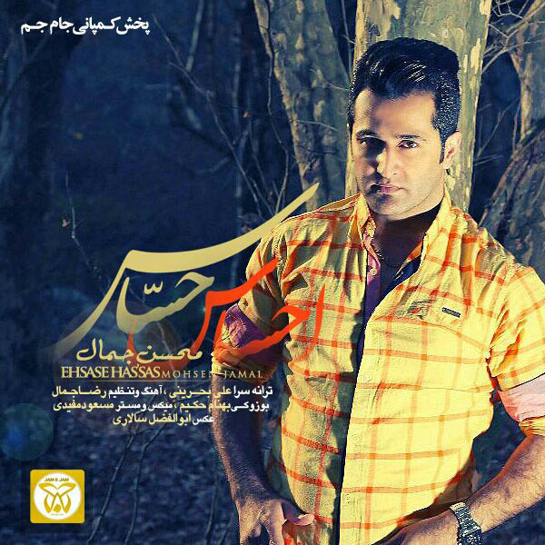 دانلود آهنگ احساس حساس